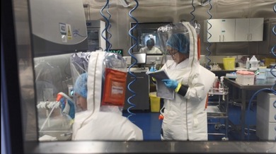 Laboratorija za bio-bezbednost u Vuhanu: Ni komarac ne može da uđe bez dozvole